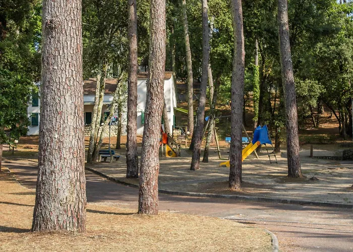 Océan - Paradis Saint-Georges-de-Didonne